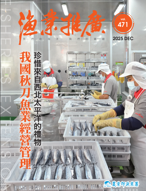 秋刀魚特刊